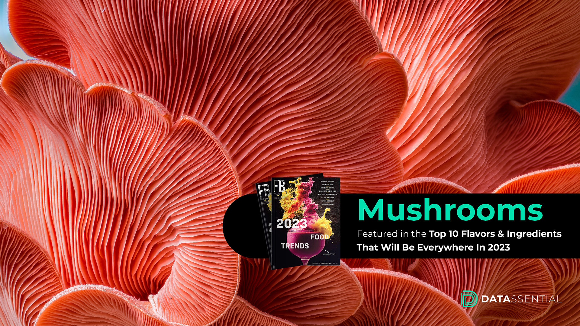 Mushrooms 2023 Flavor and Ingredient Trend