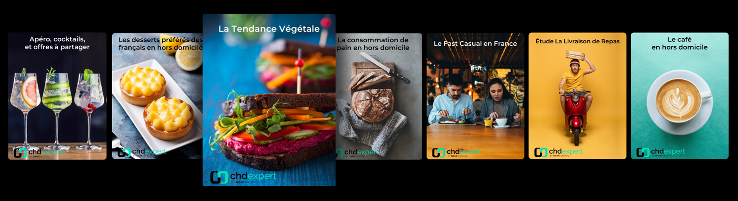 Europe-Report-Pro-Covers