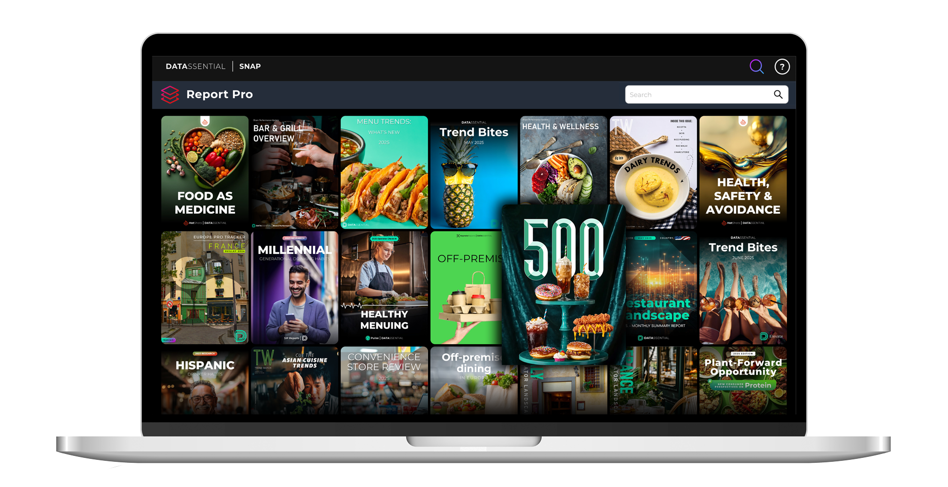 IMG_Report-Pro_Q2-2025 IMG_Report-Pro_Q2-2025