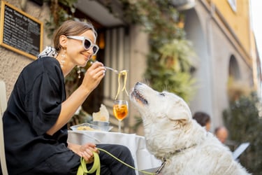 girl feeding dog girl feeding dog